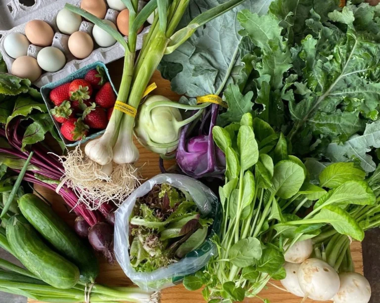 mountain food products